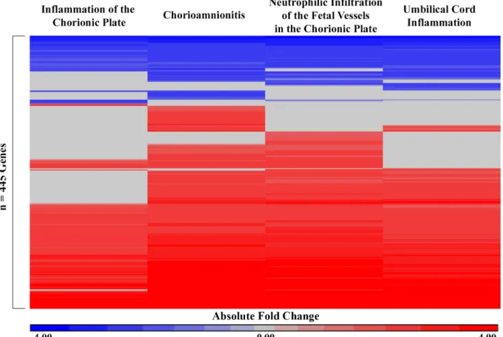Fig 1. Heatmap of 445 genes that displayed significant differential expression values across one or more markers of intrauterine inflammation in n = 43 subjects