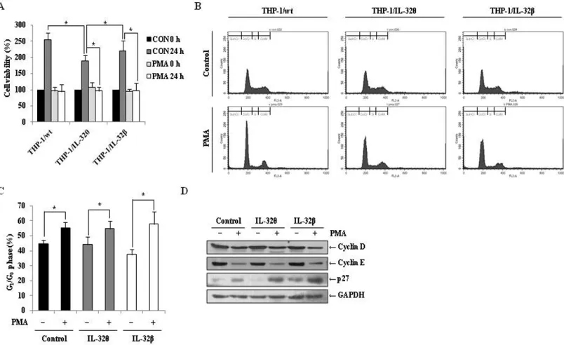 Figure 5: Effects of IL-32θ and IL-32β on PMA-mediated cell cycle arrest in THP-1 cells