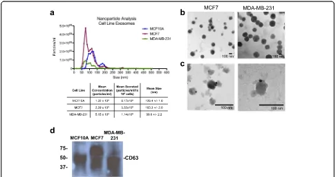 Fig. 1 Characterization of exosomes from breast cancer cell lines. Exosomes were isolated from the conditioned media of MCF10A, MCF7, andMDA-MB-231 cells