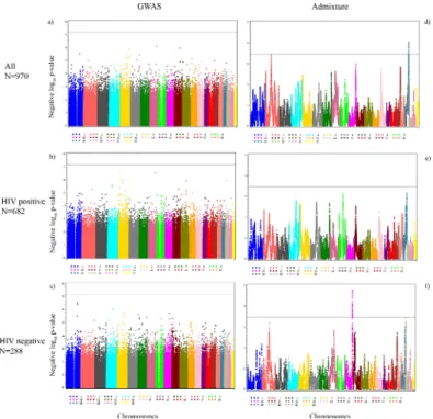 Fig 1. Manhattan plots for the genome-wide association (threshold p-value = 6.50×10 −8 ) and admixture analyses (threshold p-value 3.42×10 −4 )