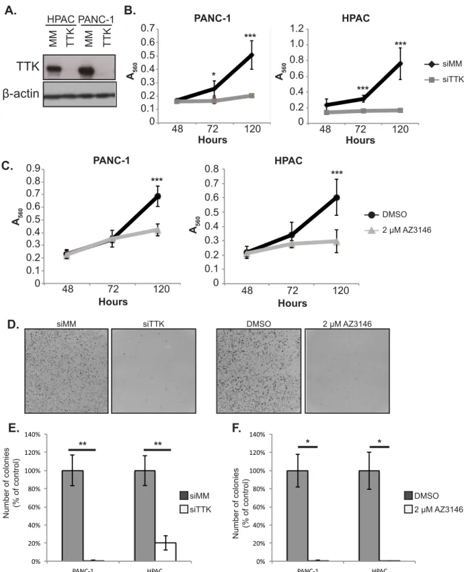 Fig 3. Genetic and pharmacologic inhibition of TTK decrease growth of PDAC cell lines