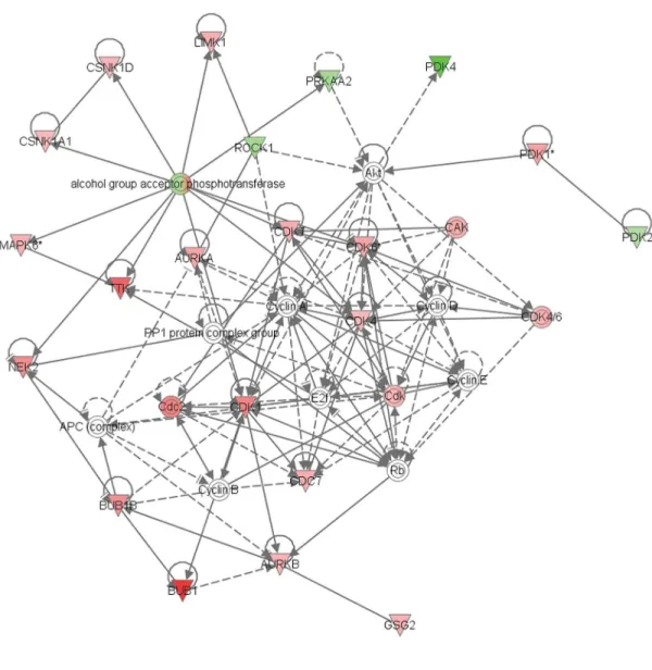 Fig 2. Ingenuity pathway analysis of differentially expressed kinases in primary PDAC compared to normal pancreas identified by unbiased methods