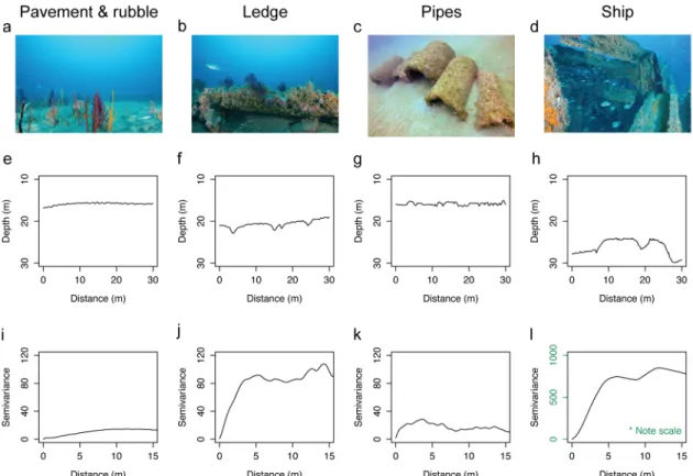 Fig 2. Habitat complexity of temperate reefs. a-d) Representative images of temperate reef morphologies
