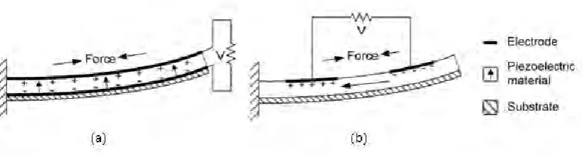 Figure 2.2: Piezoelectric mechanism with (a)    mode and (b)     