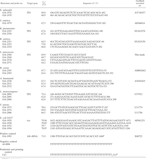 TABLE 2. Oligonucleotide probes used