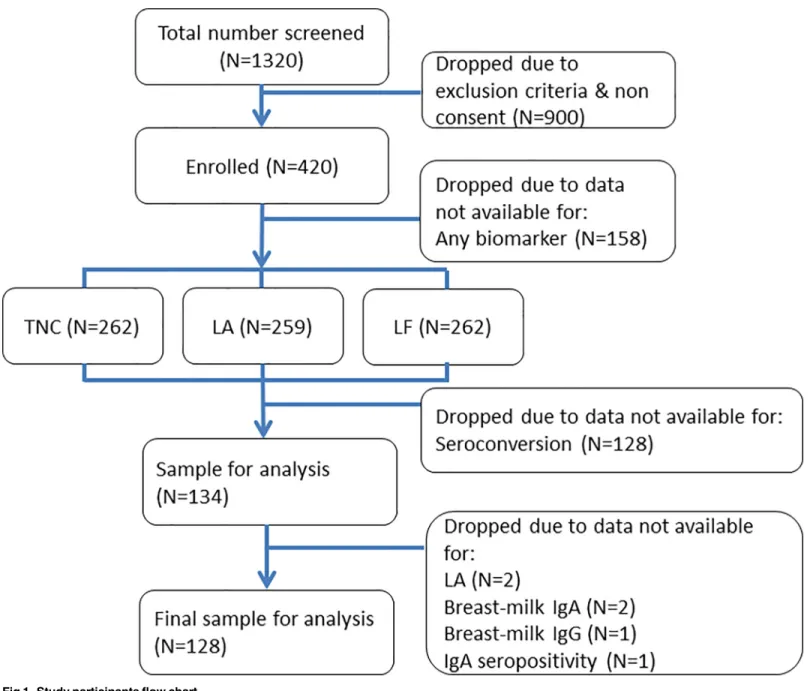 Fig 1. Study participants flow chart.