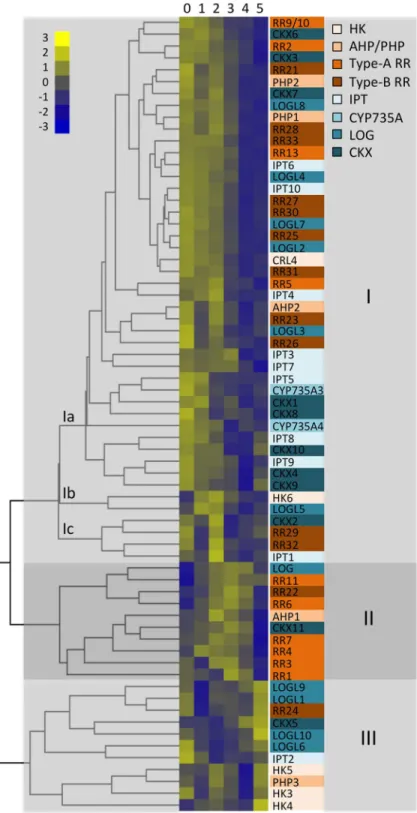 Fig 4. Dynamic changes for expression of genes involved in cytokinin action during early panicle development