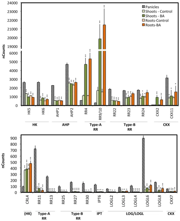 Fig 3. Differential expression of genes involved in cytokinin action between panicles and vegetative tissues