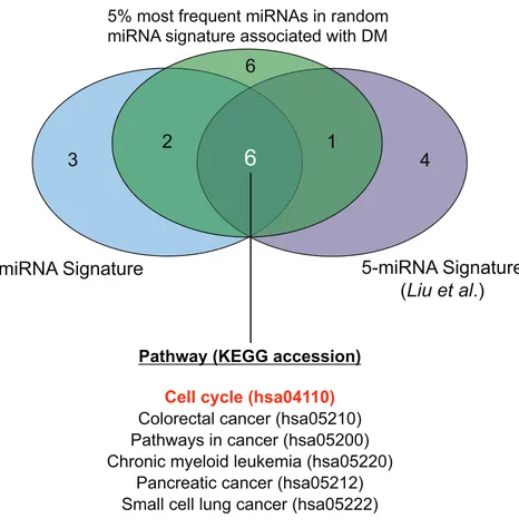 Figure 4: Venn diagram showing commonly and uniquely enriched pathways across three sets of miRNA-targets.