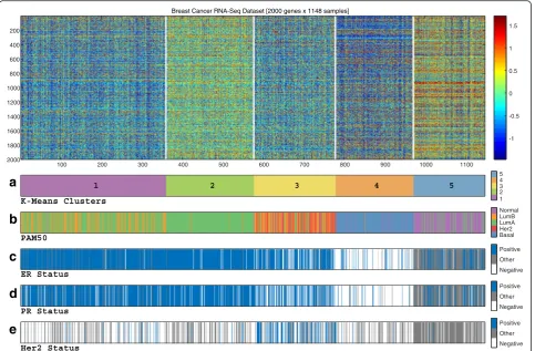 Fig. 1 Global unsupervised clustering of 1148 breast samples using RNA-Seq data. Applying the K-Means algorithm using K = 5 on the RNA-Seqdataset yielded a partition exhibiting moderate agreement with PAM50 labels and the three immunohistochemical markers