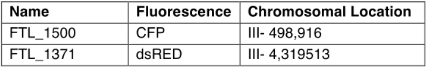 Table 1: FTLs (Fluorescent tagged lines) used in this study. 