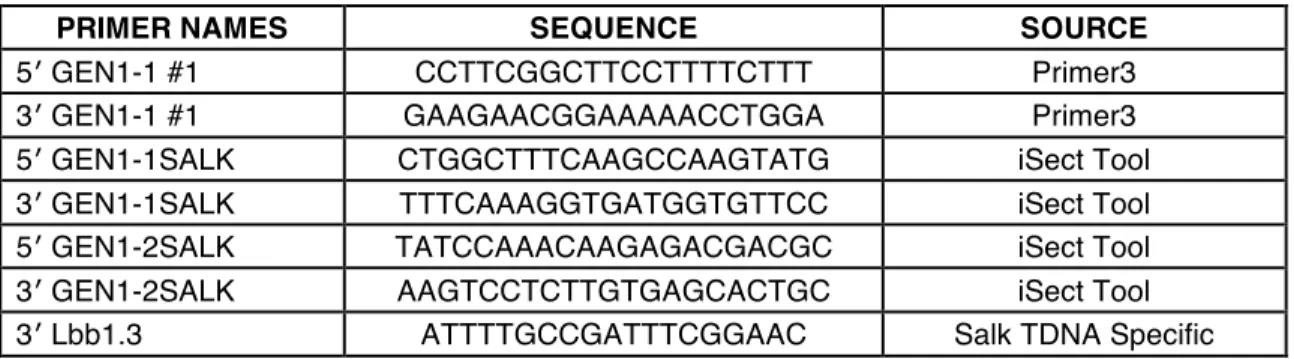 Table 2. Primers for identify TDNA insertions in AtGEN1-1 and AtGEN1-2 