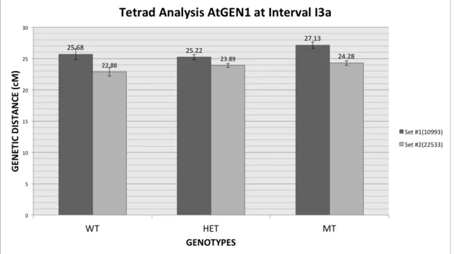 Fig. 7. Genetic distances between siblings segregating for the gen1-1 -/-  mutation. Standard Error  bar details in Tables 2 and 3