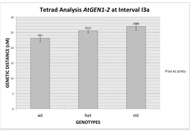 Fig. 8. Genetic distances between siblings segregating for the Atgen1-2 -/-  mutation
