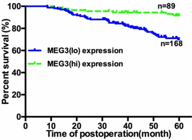Figure 3. Decreased lncRNA MEG3 expression pre-dicts a poorer overall survival in breast cancer pa-tients.