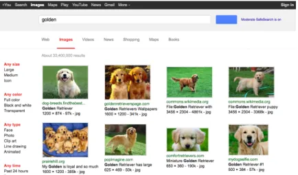 Figure 3.3: Search result page for old version of Opera