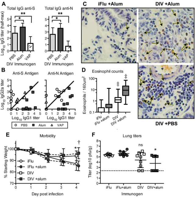 Figure 2.1: DIV vaccination and nonlethal heterologous challenge in aged animals.  