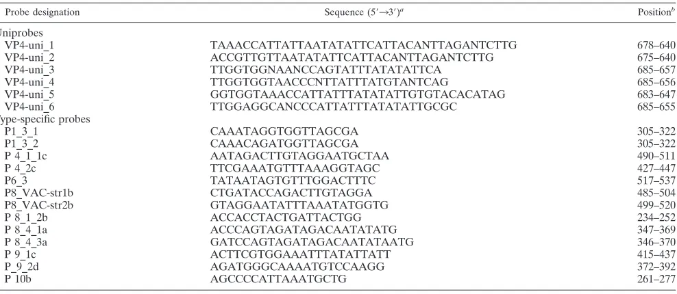 TABLE 3. Primers used for ampliﬁcation of the VP7 genefragment of HRV