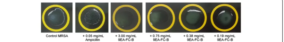 Table 1 Semi-quantitative estimation of PBP2a occurrence in biofilms isolated from different treatments
