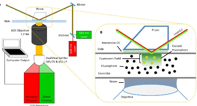 Figure 1.4: TIRF Microscopy. 