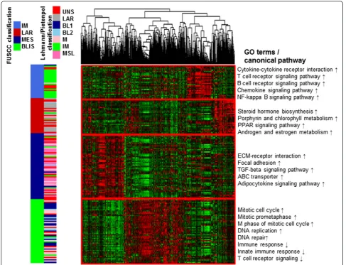 Fig. 2 A heat map shows the relative expression of the top differentially expressed RNAs (SD >0.65) in each subtype