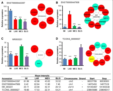 Fig. 5 Subtype-specific long noncoding RNAs (lncRNAs) and analysis of their co-expressed messenger RNAs (RNAs).lncRNAs