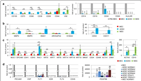 Fig. 4 Gene expression of cell isolates. Real time PCR results show gene expression (n = 48) genes, including a house keeping gene aftercomparison to the mean expression of all normal (NORMA1-4) respective MEC, MES or ADSC primary cell lines