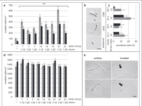 Fig. 7 Three-dimensional collagen invasion assays and quantification of cell phenotypes of invasive inflammatory ductal carcinoma (IFDUC)1amoeboid transition;mammary epithelial cells (MEC) and mesenchymal cells (MES) incubated with conditioned medium (CM) 