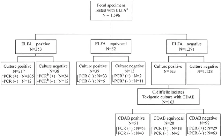FIG. 1. Flow diagram depicting the three-step algorithm, ﬁnally conﬁrmed by tcdA and tcdB PCR assays.