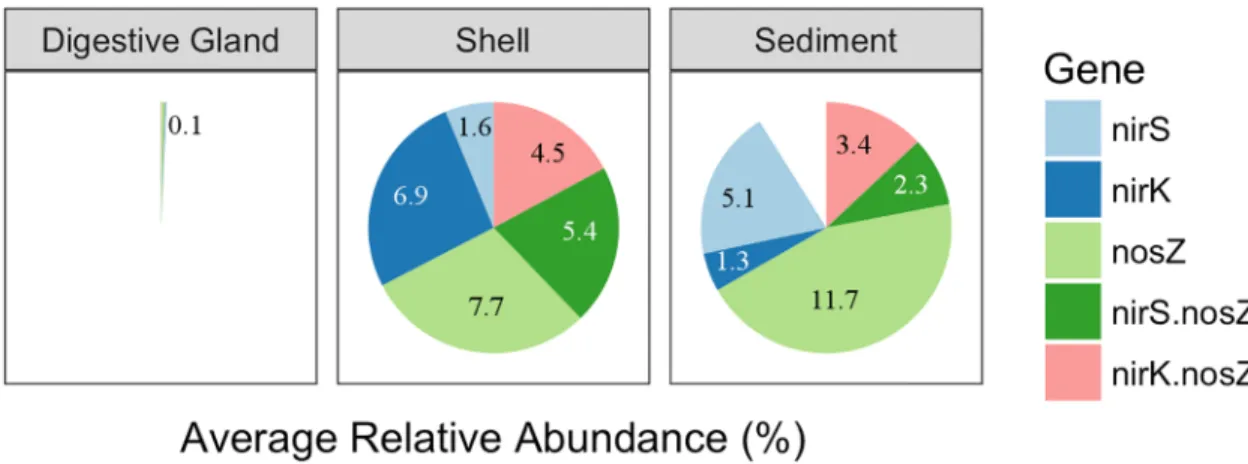Fig 3. Predicted average relative abundances of denitrification genes by paprica for oyster-related microbiomes.