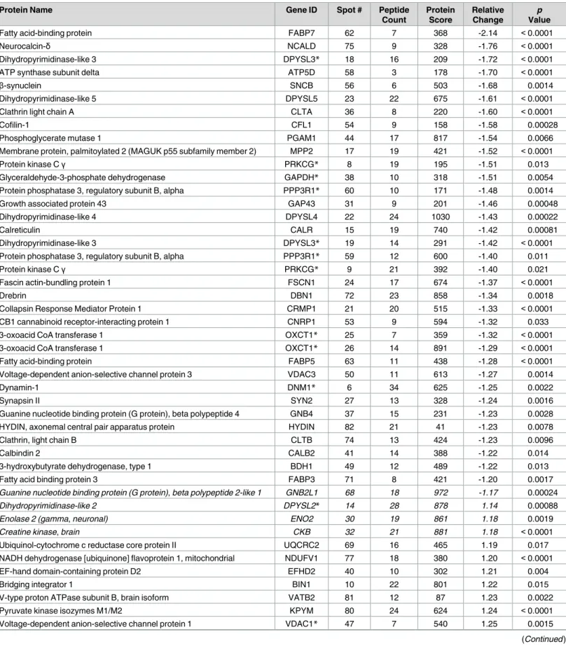 Table 1. 62 Differentially expressed proteins in adult versus adolescent mPFC Identified in proteomics analysis.