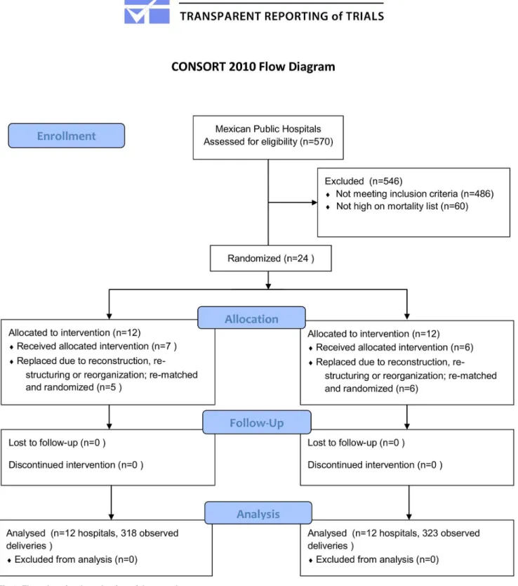 Fig 1. Flow chart for the selection of the sample.