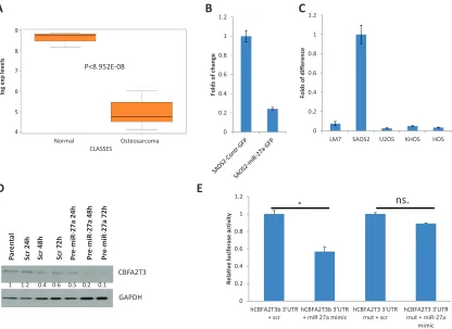 Figure 5: CBFA2T3 is a target of miR-27a and miR-27a*. (A) A box plot of CBFA2T3 expression in OS and healthy bones (Normal) according to our published Affymetrix microarray data [19]