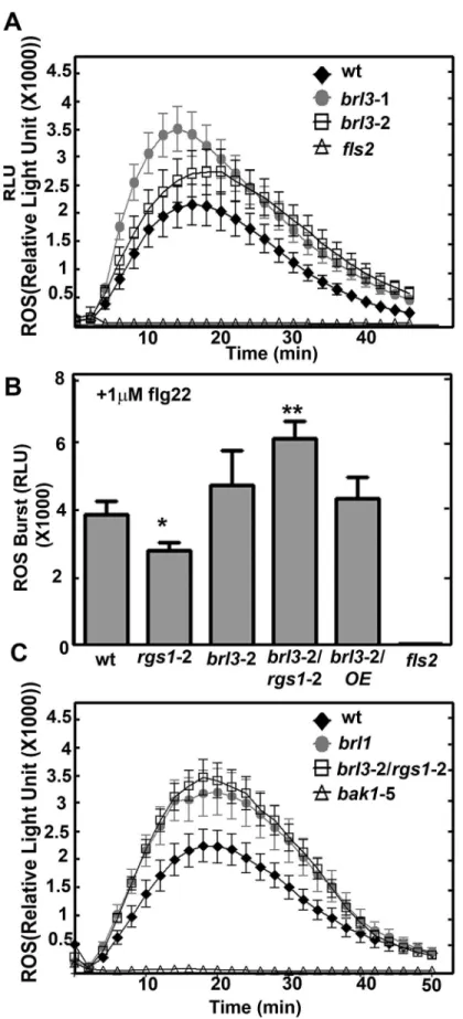Fig 3. flg22-induced ROS burst is regulated by BRL3 and AtRGS1. (A) ROS burst in response to 1 μM flg22 in leaf discs of brl3 mutants are slightly higher than wild type (n = 16 to 24)