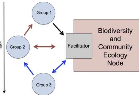 Fig 2. Facilitation Process Example. The facilitator stays with the same node throughout the day and discloses results and insights from previous groups’ discussion with each new group