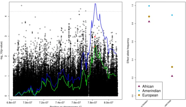 Fig 3. The PP Amerindian admixture mapping region on chromosome 17. The left panel provides the admixture mapping results as two lines, with the blue line that crosses the genome-wide significance threshold (horizontal grey dashed line) representing result