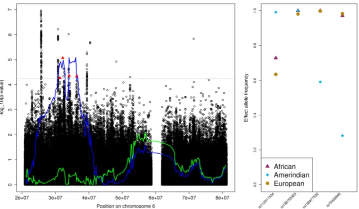 Fig 1. The MAP (and SBP) Amerindian admixture mapping region on chromosome 6. The left panel provides the admixture mapping results as two lines, with the blue line that crosses the genome-wide significance threshold (horizontal grey dashed line) represent