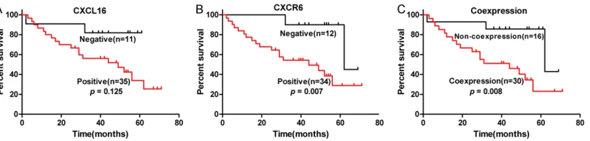 Table 1. Relation between CXCR6/CXCL16 expression and clinical features of DLBCL
