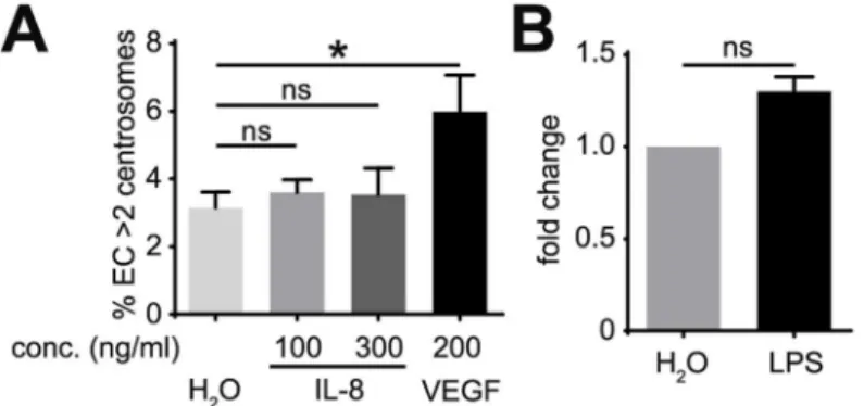 Fig 3. Inflammatory mediators do not induce excess centrosomes in EC. (A) Frequency of excess centrosomes in HUVEC after treatment with indicated factors for 4 days