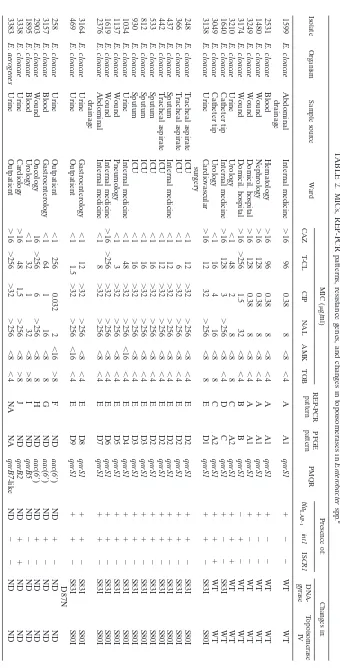 TABLE 2. MICs, REP-PCR patterns, resistance genes, and changes in topoisomerases in Enterobacter spp.a