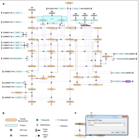Fig. 1 Construction of a framework model of human steroidogenesis. a An image of the editable framework model of human steroidogenesis