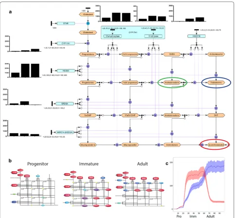 Fig. 2 Construction, paramaterisation and hypothesis testing using a cell-specific model of rat Leydig cell steroidogenesis