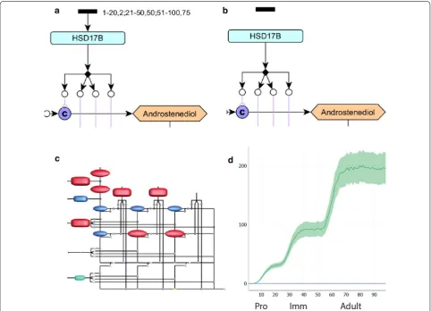 Fig. 3 Using the model to predict the outcome of a HSD17B knockout in Leydig cells. a The labelling of the HSD17B protein activity node in a wild-type model