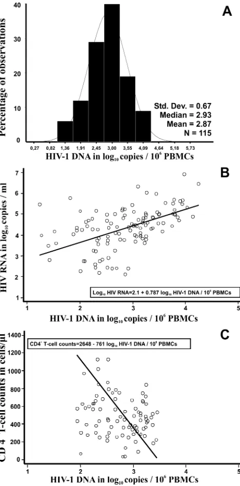 FIG. 4. Distribution of log10diagnosed HIV-1-infected individuals. The solid lines in panels B andplasma RNA levels (B) and with CD4(A) and correlation of log HIV-1 DNA copies/106 PBMCs10 HIV-1 DNA copies/106 PBMCs with� T-cell counts (C) for 115 newlyC are ﬁtted regression lines obtained by Deming regression.