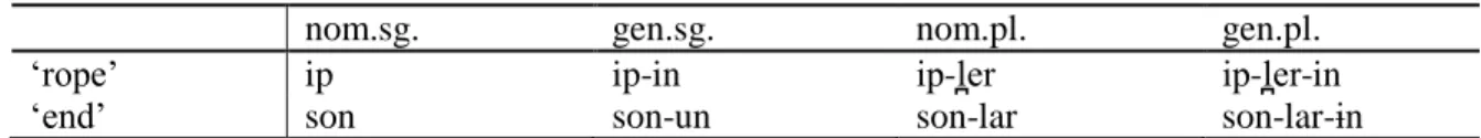 Table 1. Subset of table taken from Clements and Sezer (1982) showing front/back vowel harmony pattern within  Turkish