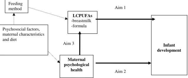 Figure 3.1. Conceptual Model for Each Specific Aim and the Hypothesized  Relationships Between the Factors 