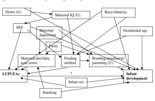 Figure 4.1. Directed Acyclic Graph #1– Specific Aim 1 