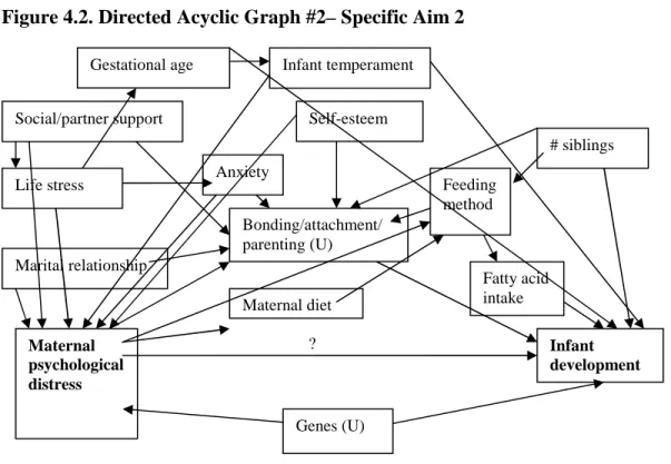 Figure 4.2. Directed Acyclic Graph #2– Specific Aim 2 