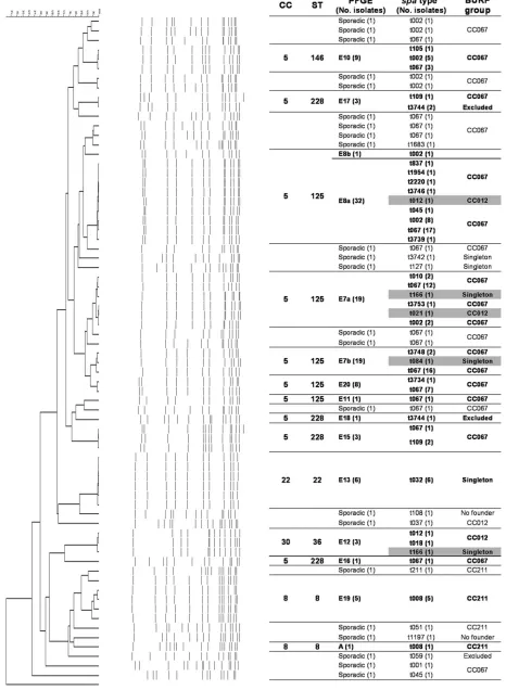 FIG. 1. Dendrogram showing the genetic relationships between the 135 MRSA isolates and correlations between the different typing methods.Group violations are marked in gray.