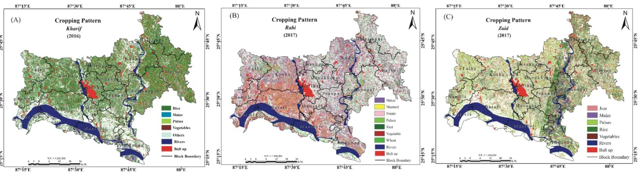 Figure 4: Cropping pattern in Katihar district: A)  